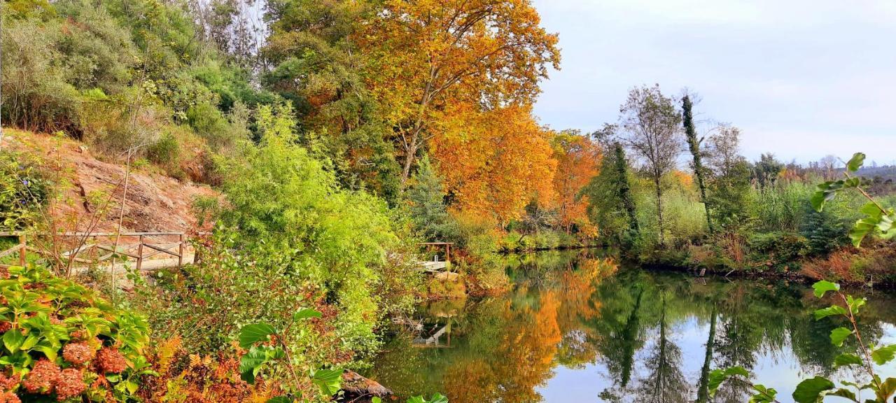 Adore Portugal Bungalow Natureza & Vista De Serra Луса Экстерьер фото
