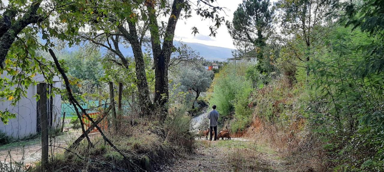 Adore Portugal Bungalow Natureza & Vista De Serra Луса Экстерьер фото